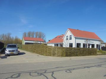 wilgentenenschutting haag vervangen natuurlijke schutting beschikbaar voor biedingen