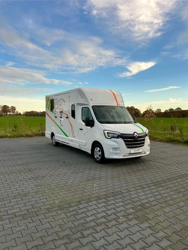 Renault Master dubbele cabine  MTM Hengsten uitvoering, Dieren en Toebehoren, Paarden en Pony's | Trailers en Aanhangwagens, Zo goed als nieuw