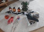 Halloween / herfst decoratie, Ophalen, Zo goed als nieuw, Halloween of Griezel