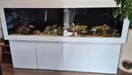 T.E.A.B  Zoet water aquarium+meubel compleet, Dieren en Toebehoren, Ophalen, Gebruikt, Gevuld zoetwateraquarium