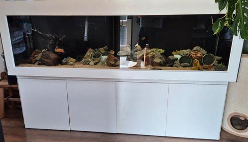 Zoet water aquarium, Dieren en Toebehoren, Vissen | Aquaria en Toebehoren, Zo goed als nieuw, Ophalen