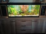 Compleet zoetwater Aquarium 1 jaar geleden nieuw aangekocht., Dieren en Toebehoren, Vissen | Aquaria en Toebehoren, Ophalen, Zo goed als nieuw