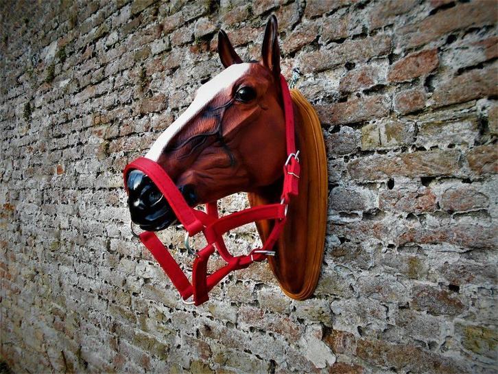 Zware handgemaakte Nylon Koudbloed/Trekpaard Halsters., Dieren en Toebehoren, Paarden en Pony's | Hoofdstellen en Tuigage, Nieuw