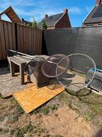 Koi schepnetten, Karper of Koi