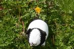 Knuffel cavia's, Ophalen of Verzenden, Nieuw, Breien, Wol of Garen