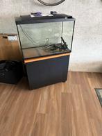 Aquarium compleet, Ophalen, Zo goed als nieuw, Leeg aquarium