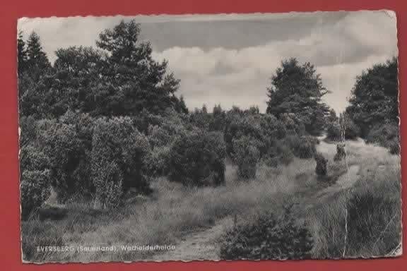 Duitsland - Eversberg (Sauerland) - Wacholderheide - 1962, Verzamelen, Verzenden, 1960 tot 1980, Gelopen, Duitsland