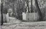 Bellingwolde ingang speeltuin Oude Ansichtkaart ( 5022 ), Ophalen of Verzenden, 1960 tot 1980, Gelopen, Noord-Brabant