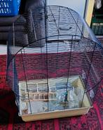 Vogelkooi met veel toebehoren, Dieren en Toebehoren, Ophalen, Zo goed als nieuw, Metaal, Vogelkooi