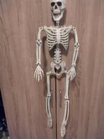 Geraamte, Ophalen, Zo goed als nieuw, Feestartikel, Halloween of Griezel