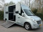 Renault Master Hengstenuitvoering Paardenwagen Horsetruck, Overige materialen, Rensingautos@hotmail.com, Overige typen, Ophalen of Verzenden
