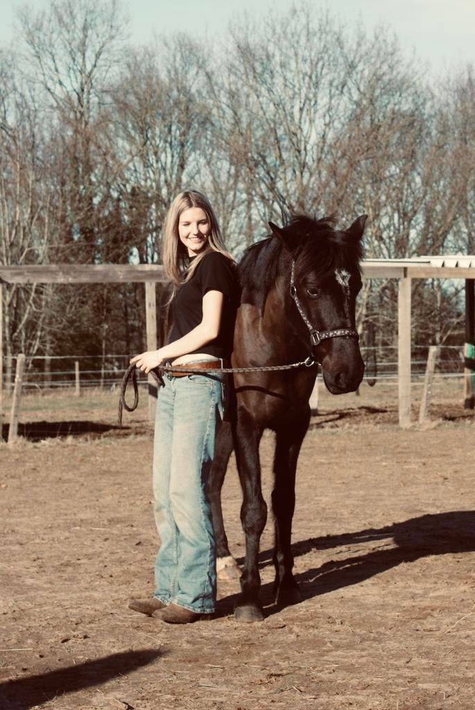 zadelmak maken met rust, Ophalen of Verzenden