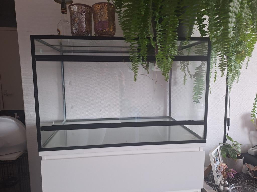 Terrarium te koop 50dx51hx80l, Ophalen, Gebruikt