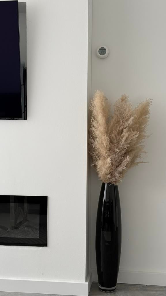 Pampas pluimen met vaas, Huis en Inrichting, Woonaccessoires | Vazen, Ophalen, Overige materialen, Gebruikt, Zwart