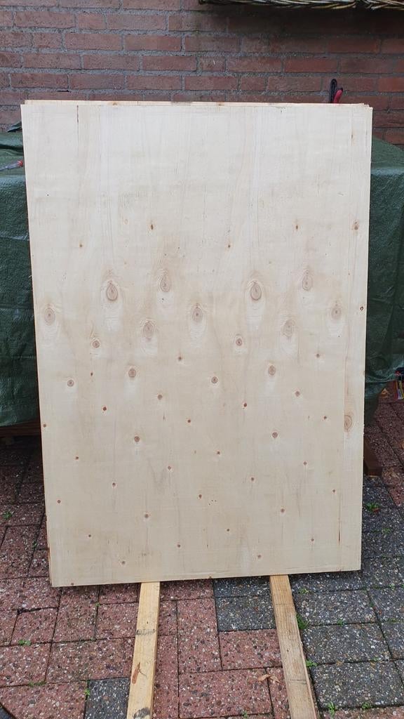 Multiplex plaat - 1220x850x16mm, Ophalen of Verzenden, Nieuw, Multiplex, 20 tot 50 mm