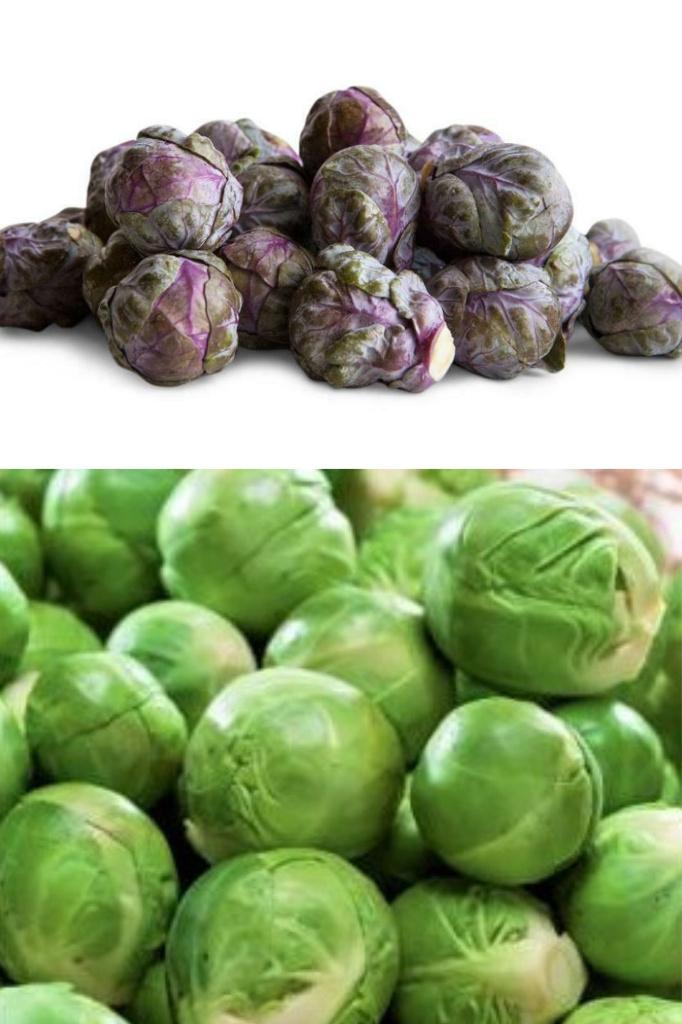 Spruitjes zaden, Verzenden, Zaad