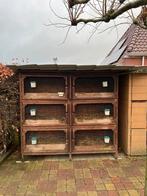 6-delige konijnenflat, 110 cm of meer, Ophalen of Verzenden, Zo goed als nieuw, 90 cm of meer
