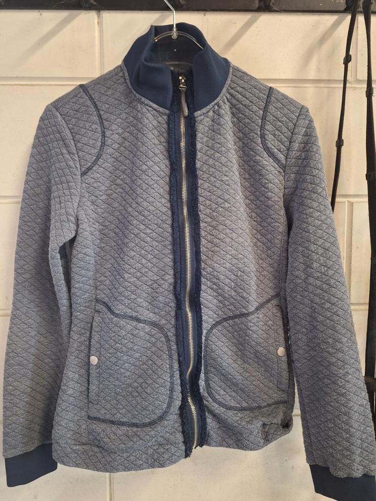 Anky vest maat 38, Dieren en Toebehoren, Paardrijkleding, Gebruikt, Dressuur, Ophalen of Verzenden, Dames