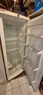 Koelkast Liebherr, Ophalen, 200 liter of meer, 160 cm of meer, 45 tot 60 cm