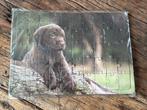 Hondenpuzzel, Ophalen of Verzenden, Minder dan 500 stukjes, Nieuw