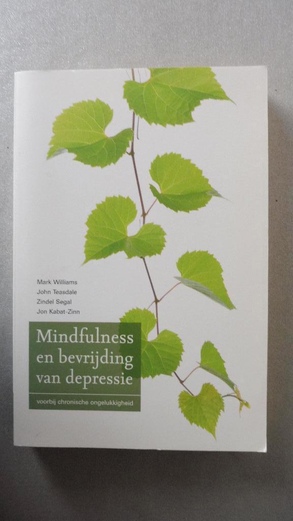 Mark Williams - Mindfulness en bevrijding van depressie, Boeken, Advies, Hulp en Training, Nieuw, Ophalen