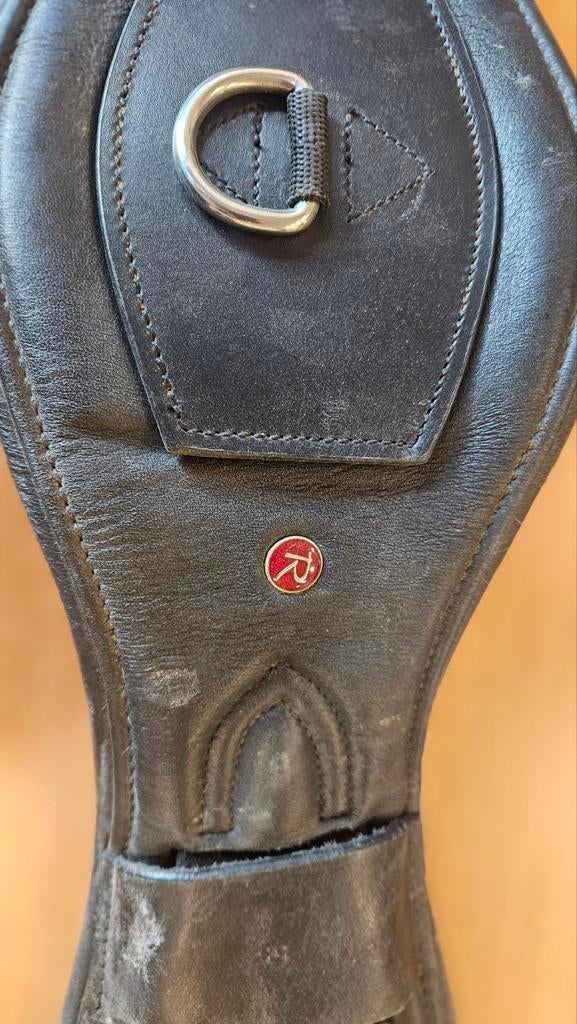 Leren dressuursingel, Ophalen, Gebruikt, Dressuur