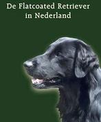 de Flatcoated Retriever in Nederland (koopje), Verzenden, Zo goed als nieuw, Honden