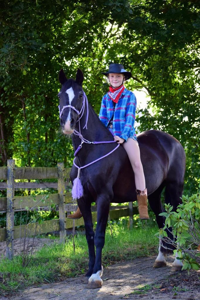 Lieve, actieve D-pony, Dieren en Toebehoren, B, 11 jaar of ouder, D pony (1.37m tot 1.48m), Merrie