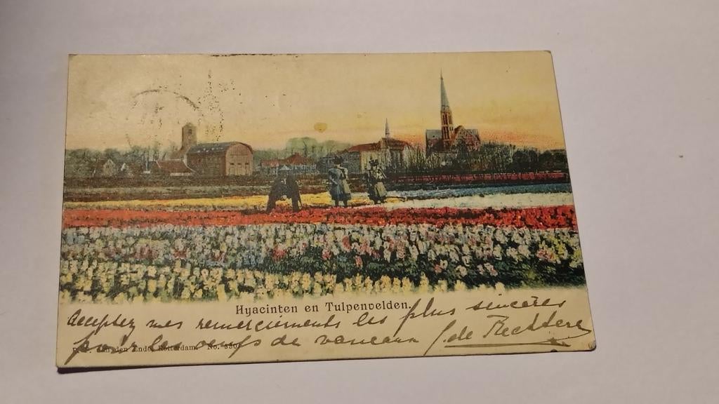 Nederland Hyacinten en Tulpenvelden, Ophalen of Verzenden