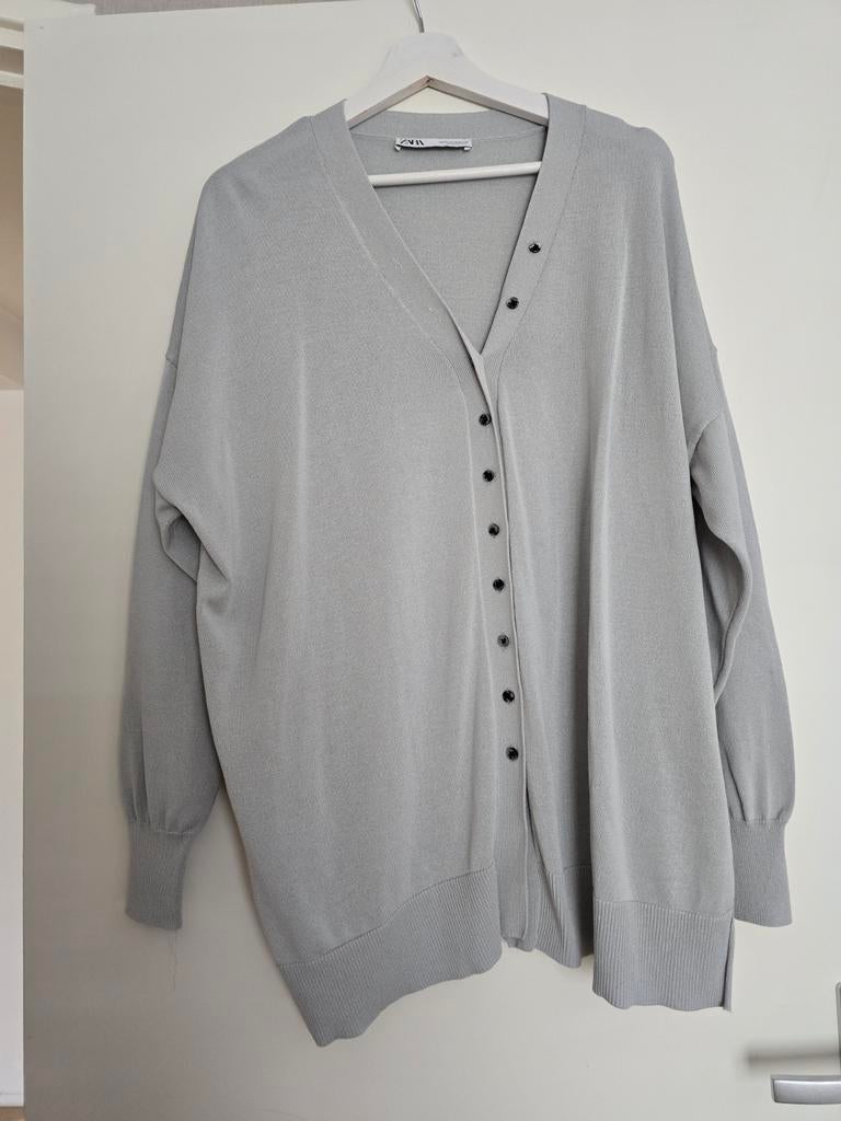 Mooi Zara vest, Ophalen of Verzenden, Zo goed als nieuw, Grijs