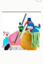 Betrouwbare schoonmaakster., Strijken