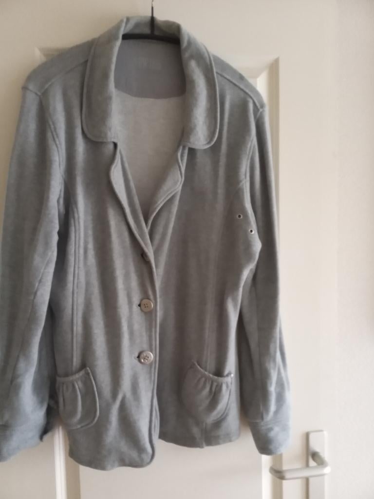 JASJE GRIJS, Kleding | Dames, Maat 46/48 (XL) of groter, SRW 15, Ophalen of Verzenden, Zo goed als nieuw