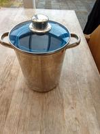 RVS asperges pan met Glazen Deksel en rvs mand, Ophalen of Verzenden, Rvs, Kookpan of Snelkookpan