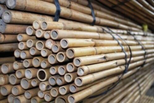 Bamboestokken 270cm, Tuin en Terras, Ophalen, Nieuw, 250 cm of meer, Overige typen