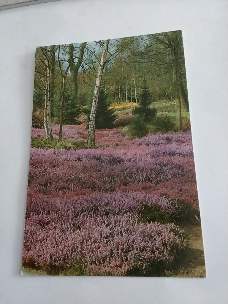 LISSE. KEUKENHOF, Ophalen of Verzenden