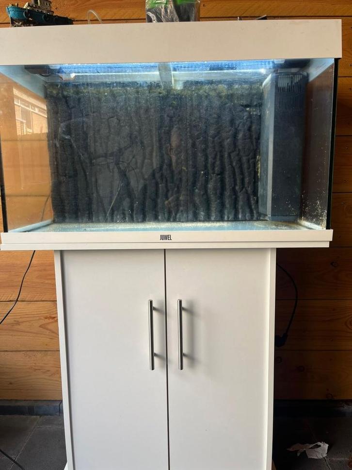 125 liter aquarium, Dieren en Toebehoren, Vissen | Aquaria en Toebehoren, Zo goed als nieuw, Leeg aquarium, Inclusief deksel, Inclusief slangen