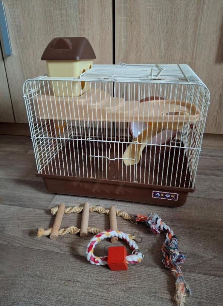 Hamsterkooi, Kooi, Gebruikt, Minder dan 75 cm, Ophalen