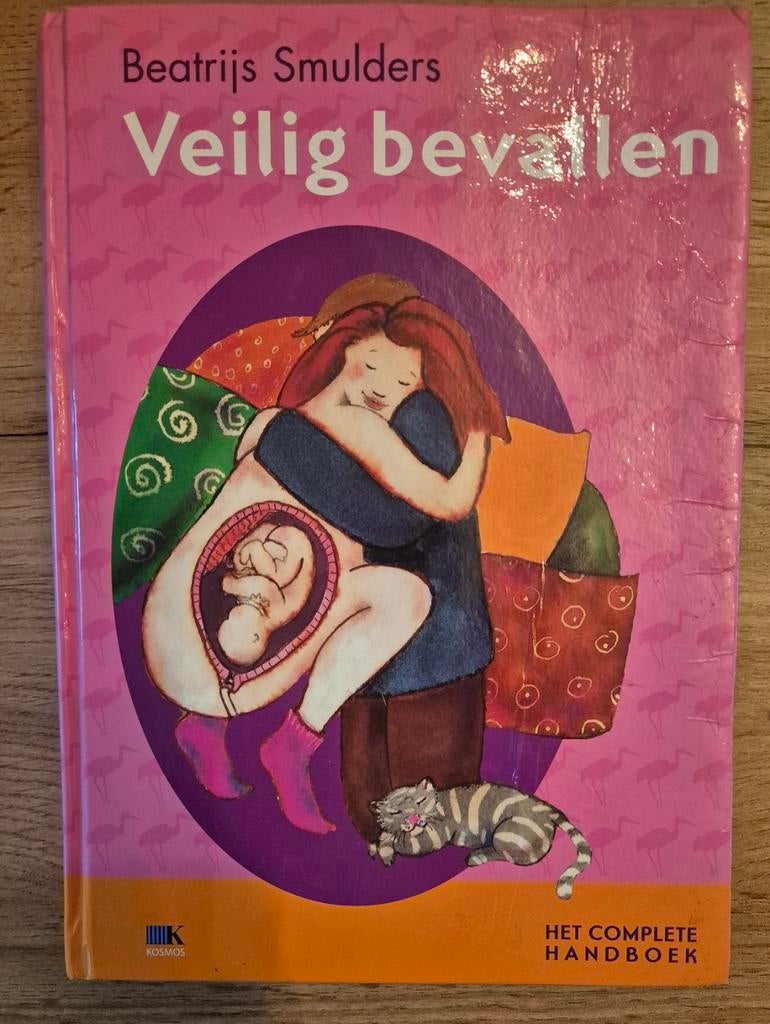 Veilig bevallen - Beatrijs Smulders (lichte waterschade), Ophalen of Verzenden, Tweedehands, Dames
