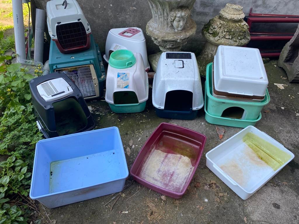 Kattenspullen, Dieren en Toebehoren, Ophalen, Gebruikt