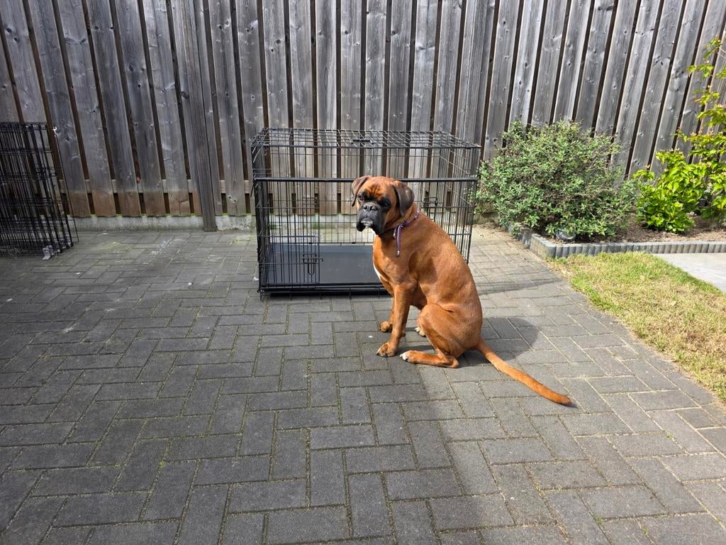 Hondenbench, Ophalen