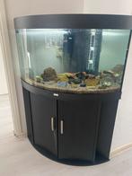 Aquarium Juwel (hoek), Dieren en Toebehoren, Vissen | Aquaria en Toebehoren, Ophalen of Verzenden, Gebruikt, Verlichting of Verwarming