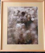 Waterdruppels (foto) in Barth wissellijst van 40x50 cm...., Ophalen of Verzenden