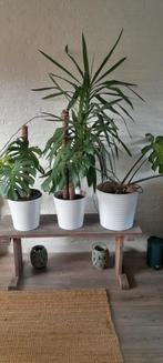 3 grote witte bloempotten van Ikea, Ophalen, Gebruikt, Rond, Aardewerk