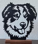 Australian Shepherd, Ophalen of Verzenden