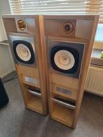 Bijzondere Zelfbouw Transmissielijn Luidsprekers, Audio, Tv en Foto, Luidsprekers, Gebruikt, 60 tot 120 watt, Front, Rear of Stereo speakers