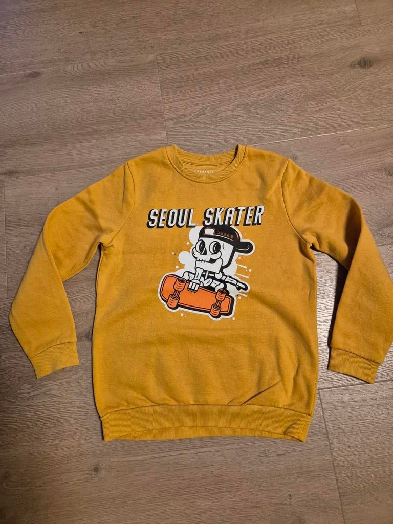 Sweater maat 140, Kinderen en Baby's, Kinderkleding | Maat 140, Ophalen of Verzenden, Zo goed als nieuw, Jongen, Trui of Vest