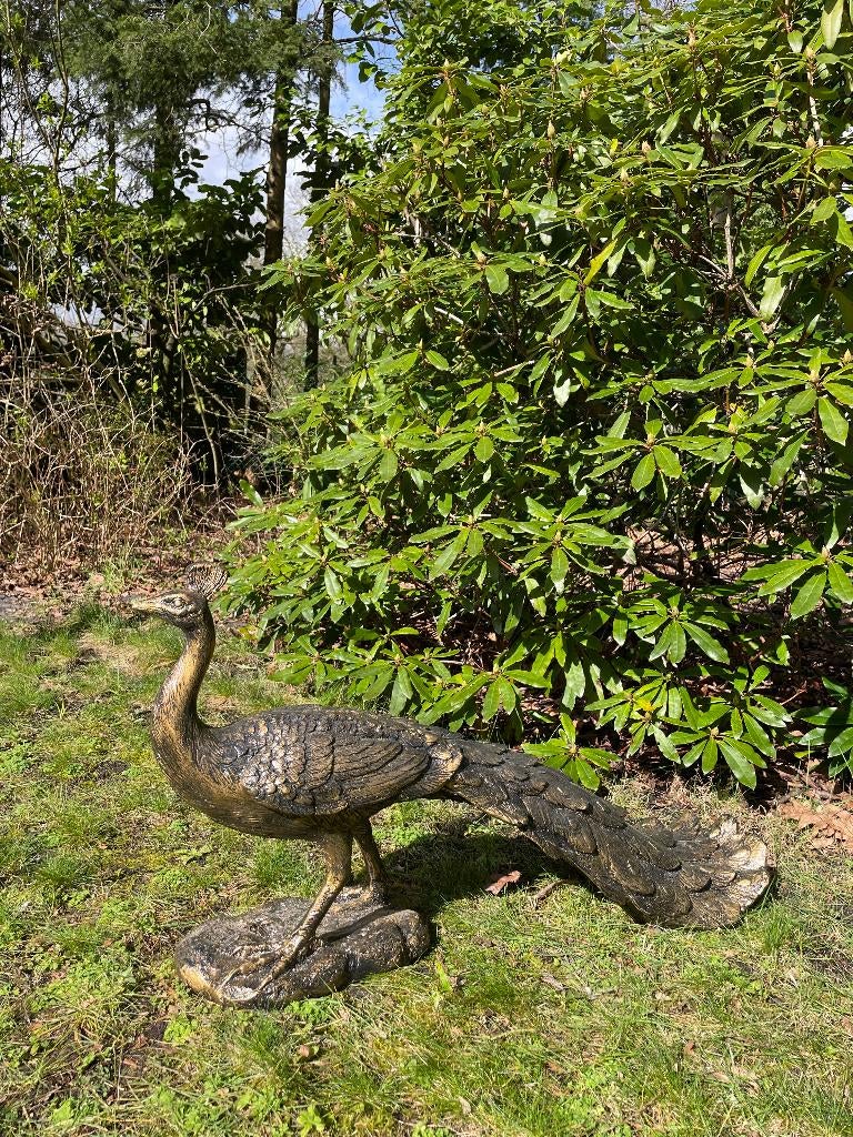 (Tuin)Beeld pauw, tuin, zwembad, vijver 80cm, Ophalen, Nieuw, Kunststof, Dierenbeeld