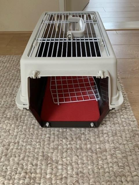 transportbox voor poes, Ophalen, Zo goed als nieuw