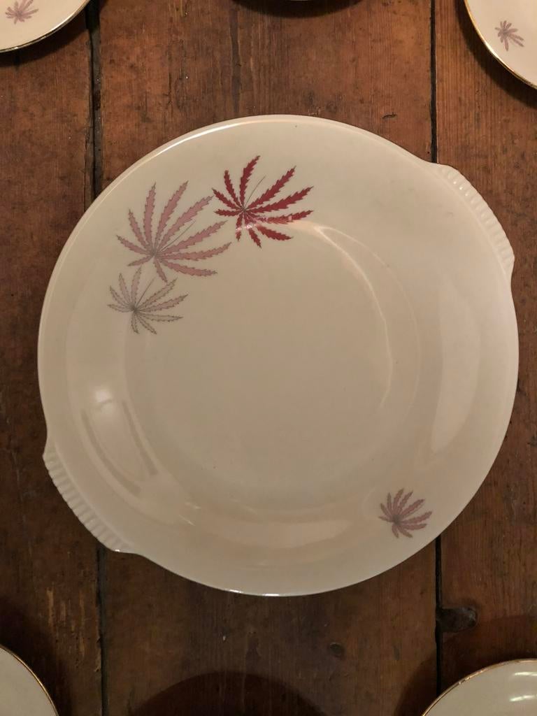 Mooi antiek gebakstel 1 groot en 10 kleine bordjes, Ophalen of Verzenden