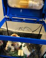 SuperFish Aqua 20 Junior Aquarium Xtra Exclusief Donkerblauw, Ophalen, Gebruikt, Leeg aquarium